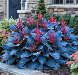 Хоста Грин Фог купить по цене от 669р. в интернет-магазине «Посадика» с доставкой почтой в в Благовещенске и по всей России – [изображение №1].