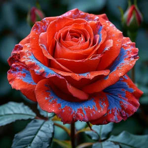 Роза Сикрет Гарден купить по цене от 619р. в интернет-магазине «Посадика» с доставкой почтой в в Благовещенске и по всей России – [изображение №1].