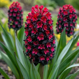 Гиацинт Джем Стоун купить по цене от 2099р. в интернет-магазине «Посадика» с доставкой почтой в в Благовещенске и по всей России – [изображение №1].