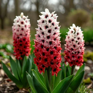 Гиацинт Скай Гарден купить по цене от 2099р. в интернет-магазине «Посадика» с доставкой почтой в в Благовещенске и по всей России – [изображение №1].